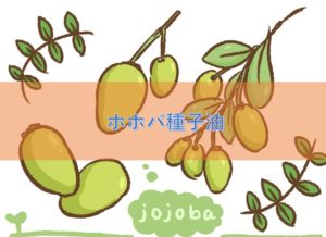 ホホバ種子油の特徴と安全性