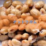 ナットウガムの特徴と安全性