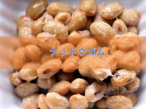 ナットウガムの特徴と安全性