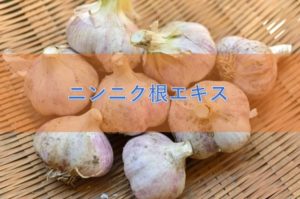 ニンニク根エキスの特徴と安全性