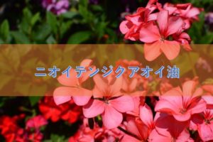 ニオイテンジクアオイ油の特徴や安全性