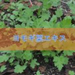 ヨモギ葉エキスの特徴と安全性