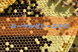 ローヤルゼリーエキスの特徴と安全性