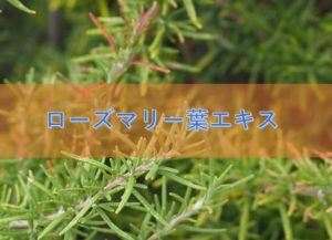 ローズマリー葉エキスの特徴と安全性