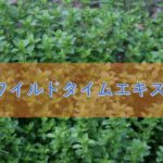 ワイルドタイムエキスの特徴と安全性