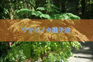 ワサビノキ種子油の特徴や安全性